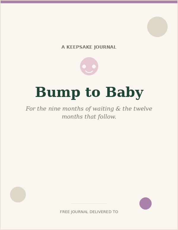 Bump to Baby — A keepsake journal for the nine months of waiting & the year that follows